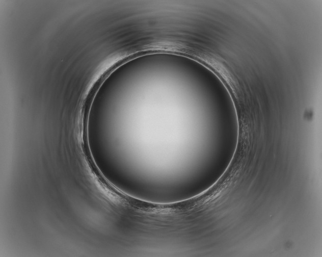 X0000095521131200712141440