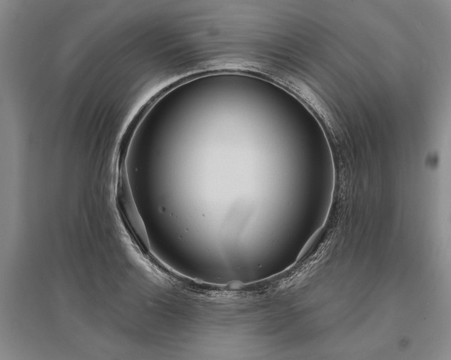 X0000095521132200712141440