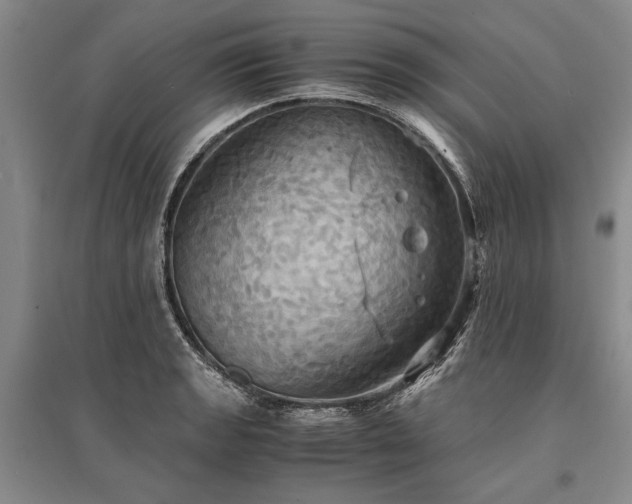 X0000095521133200712141440