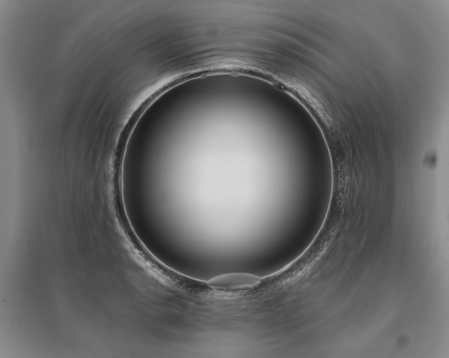 X0000095521134200712141440
