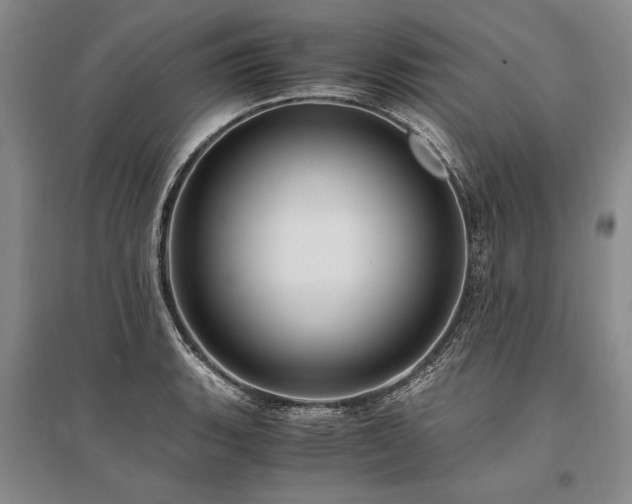 X0000095521135200712141440