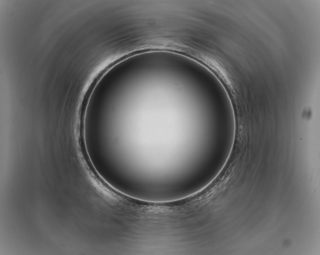 X0000095521136200712141440