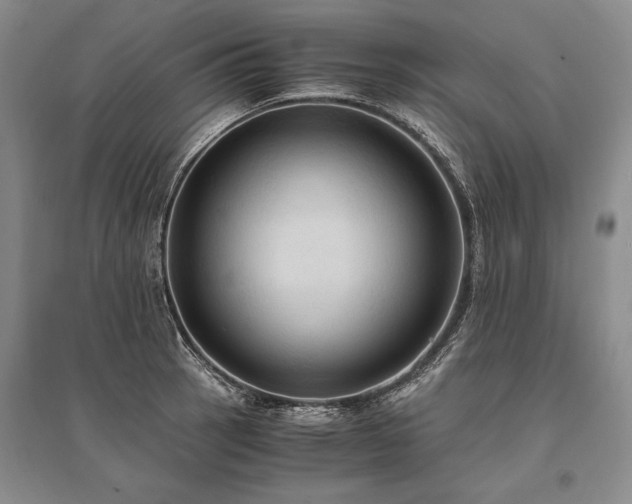 X0000095521137200712141440