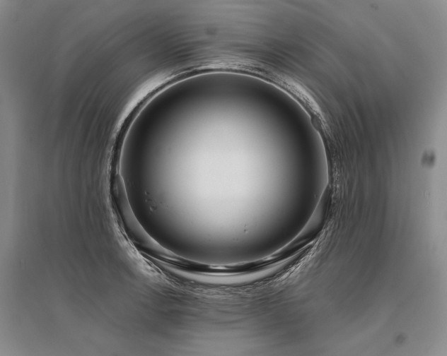 X0000095521138200712141440
