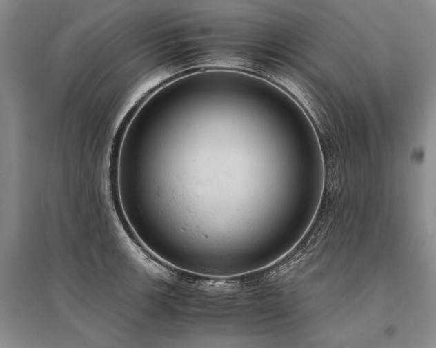X0000095521139200712141440