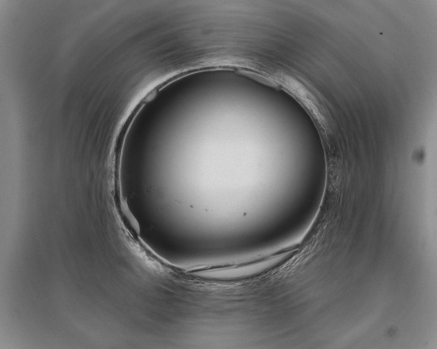 X0000095521140200712141440
