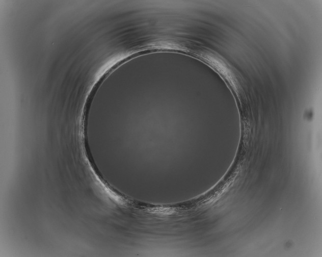 X0000095521141200712141440