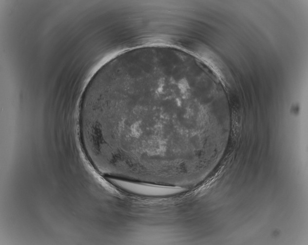 X0000095521142200712141440