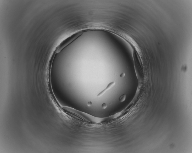 X0000095521144200712141440
