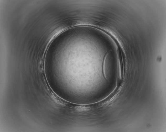 X0000095521145200712141440