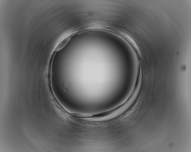 X0000095521146200712141440