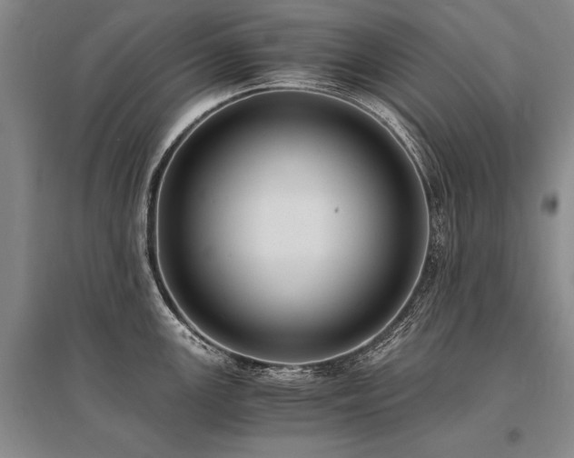 X0000095521147200712141440