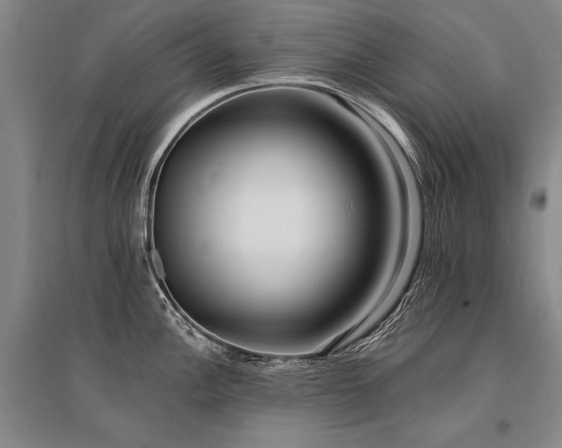 X0000095521148200712141440