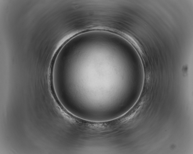 X0000095521149200712141440