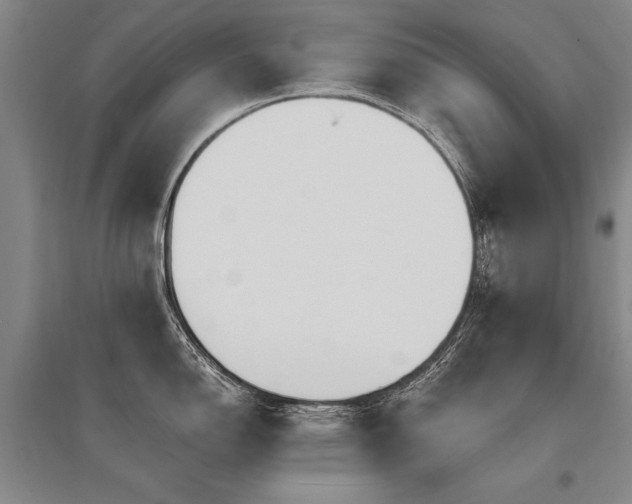 X0000095521150200712141440