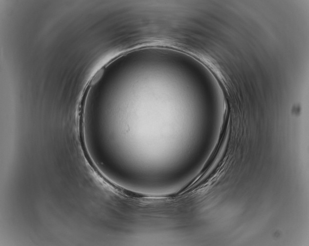 X0000095521151200712141440