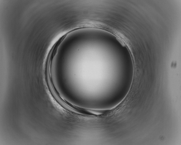 X0000095521152200712141440