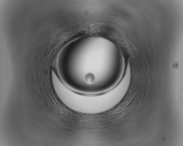 X0000095521153200712141440