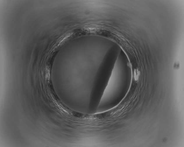 X0000095521155200712141440