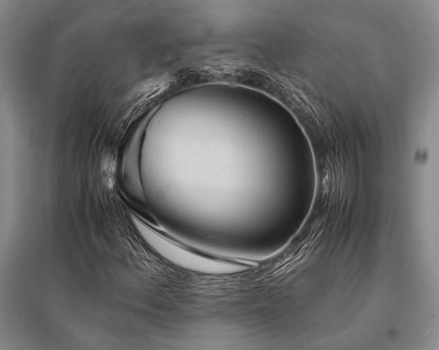 X0000095521156200712141440