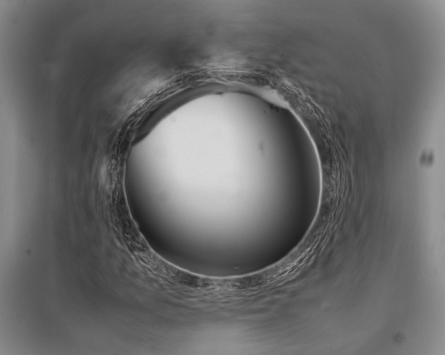 X0000095521157200712141440