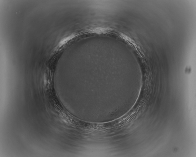X0000095521158200712141440