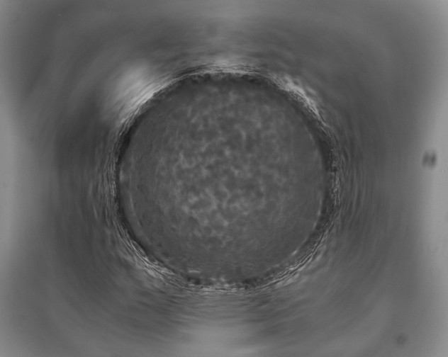 X0000095521159200712141440