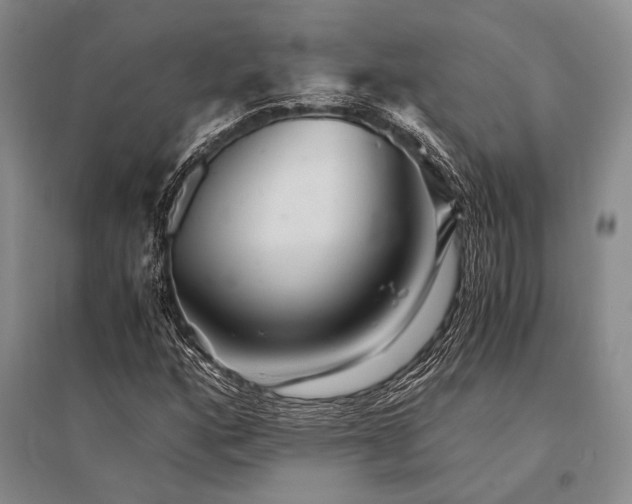 X0000095521160200712141440