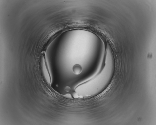 X0000095521161200712141440