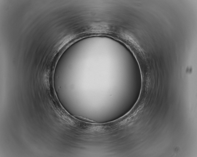 X0000095521162200712141440