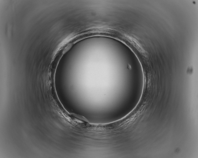 X0000095521164200712141440