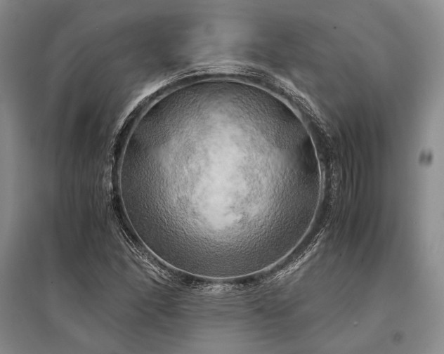 X0000095521166200712141439