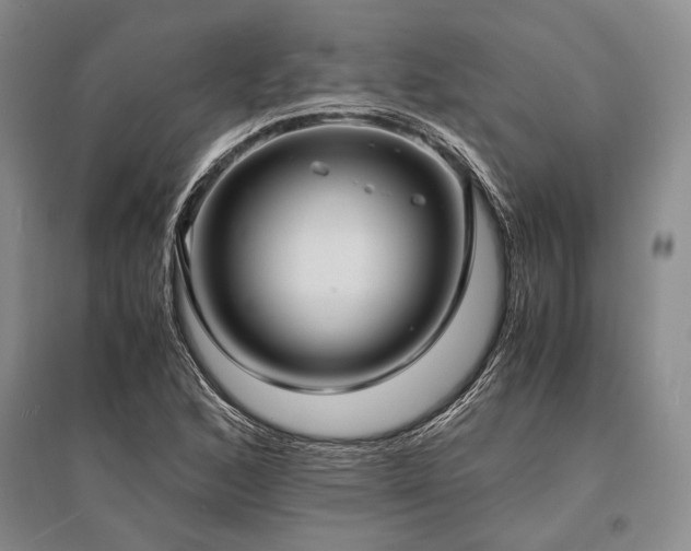 X0000095521168200712141439
