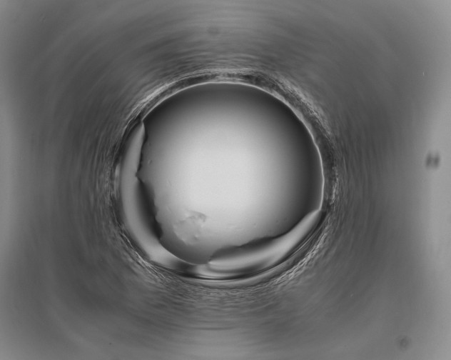 X0000095521169200712141439
