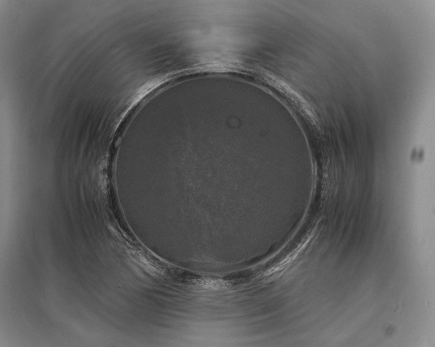 X0000095521170200712141439