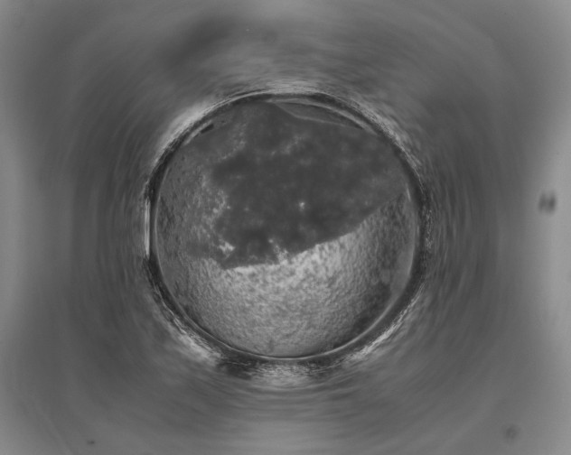 X0000095521171200712141439