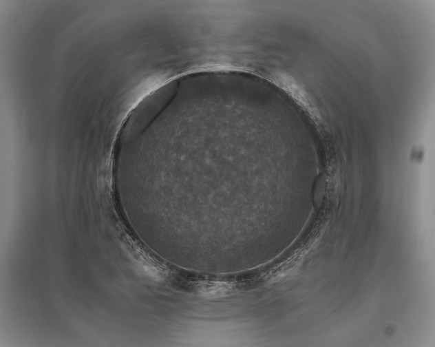 X0000095521173200712141439