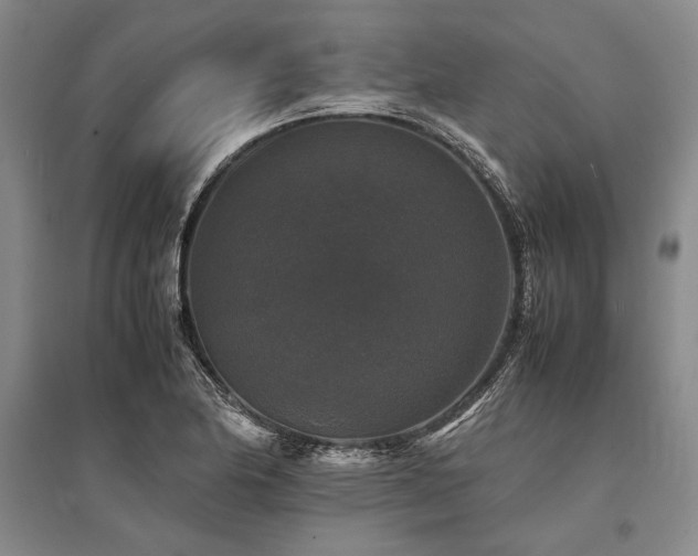 X0000095521174200712141439