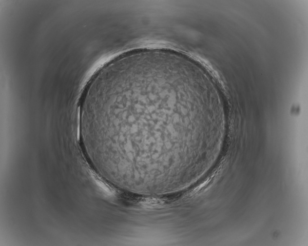 X0000095521175200712141439