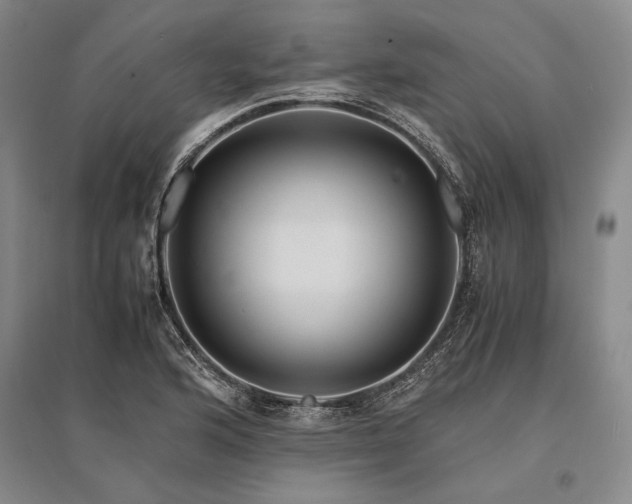 X0000095521176200712141439