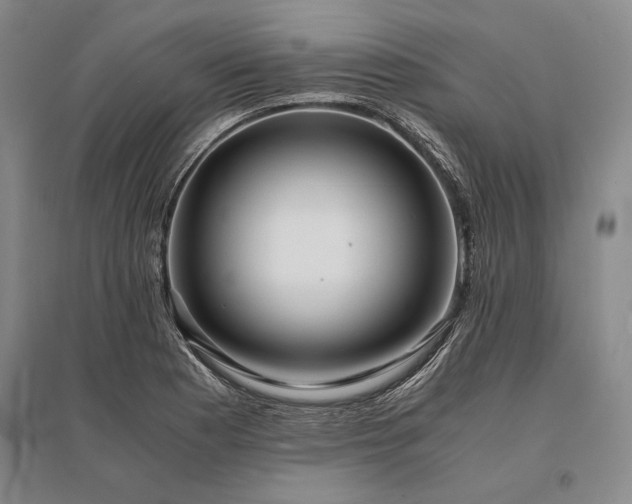 X0000095521177200712141439