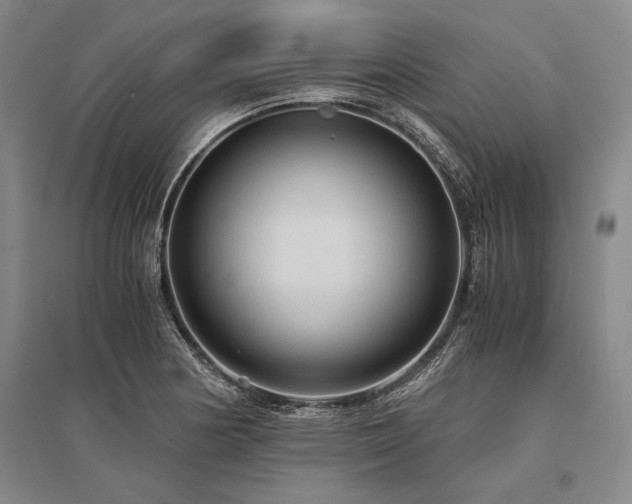 X0000095521178200712141439