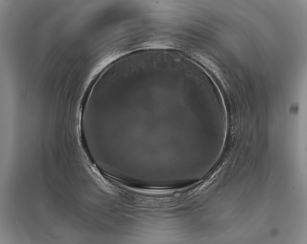 X0000095521179200712141439