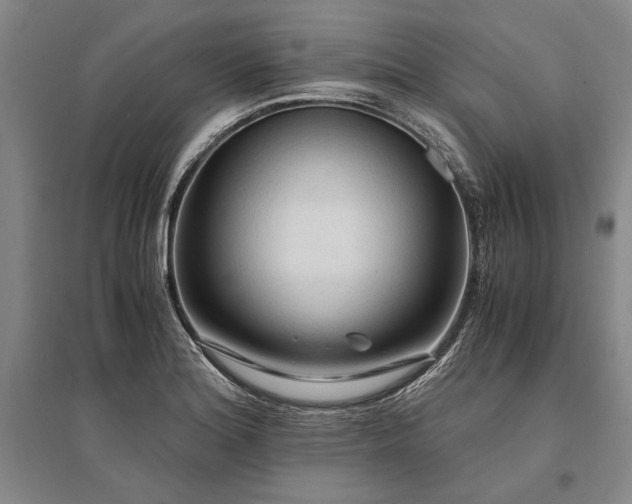 X0000095521180200712141439