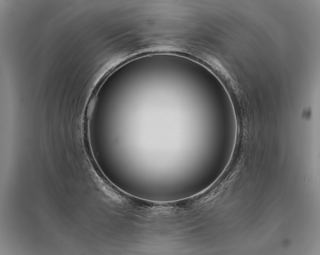 X0000095521181200712141439
