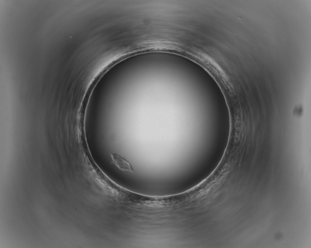 X0000095521182200712141439