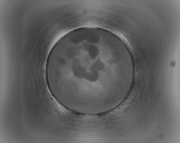 X0000095521183200712141439