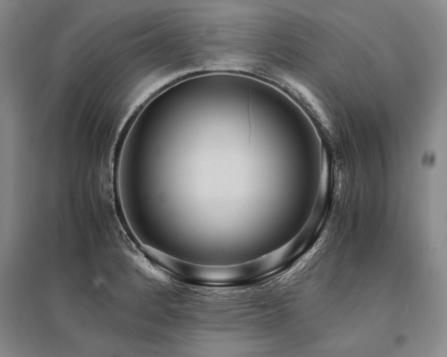 X0000095521184200712141439