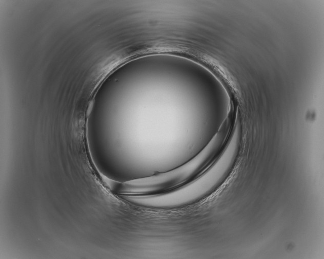 X0000095521185200712141439