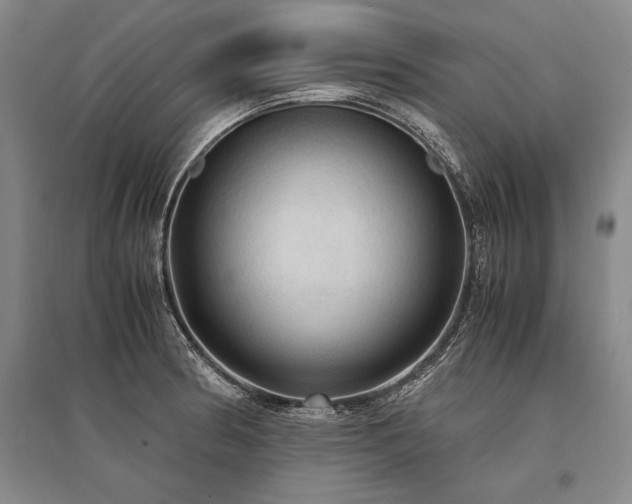 X0000095521186200712141439